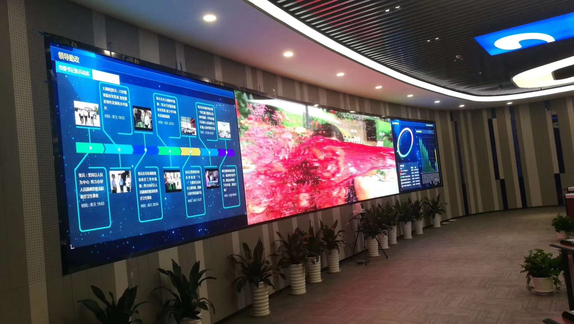 LEDҺ���@ʾ��